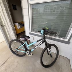 Nishiki 24” Mountain Bike – Good Condition