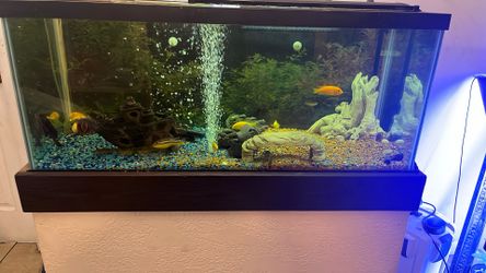 75 Gallon Aquarium With Stand Filter And Light