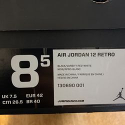 Jordan 12 