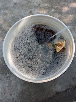 Brew your own worm casting tea!