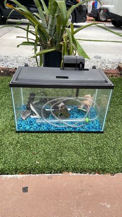 10 GL Small Glass Fish Tank with Accessories