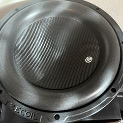 12” Subwoofer 