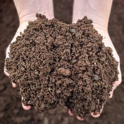 Organic Worm Castings 