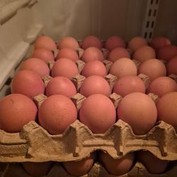 Eggs fresh huevo  fresco del diario