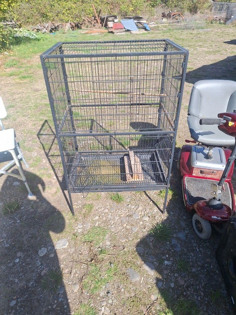 Bird Cage