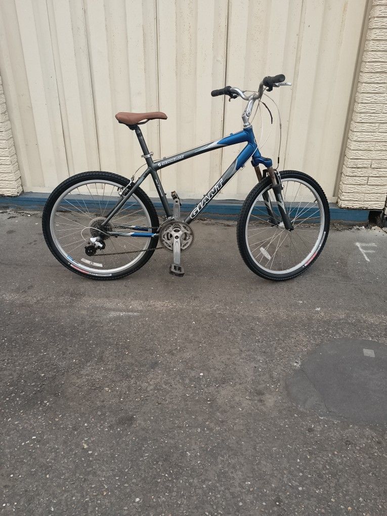 Giant Bike