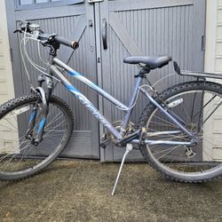 Giant Boulder Mountain Bike 17"