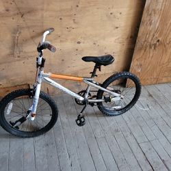 20" Magna Bike