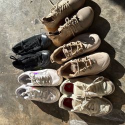 Shoes  Adidas Puma Converse Steve Malden