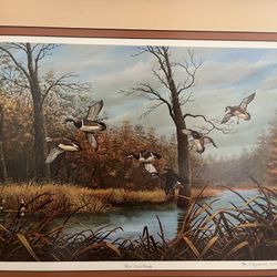 Signed Limited Edition Print – Rhynard Klingbeil – Ducks in Flight – 392/600