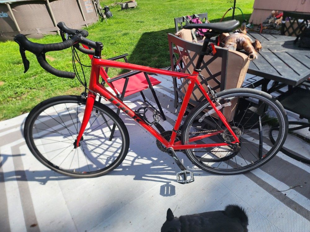 2019 Trek Domane AL 2 Road Bike