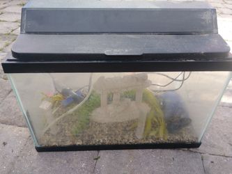 20x11x10 fish tank with pump and motor included