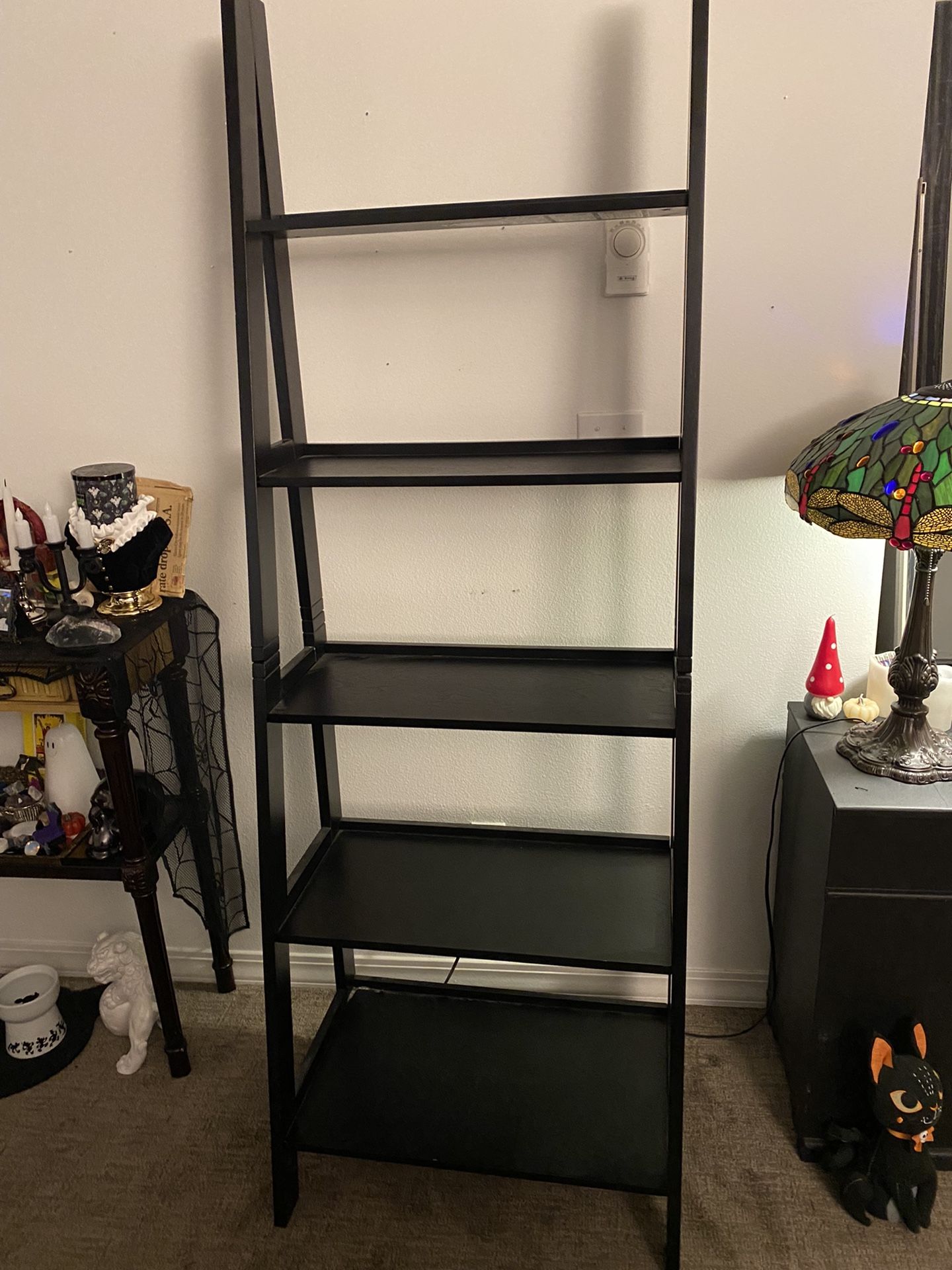 Ladder bookshelf