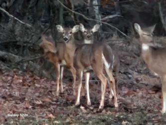 Hunting Pants With Hunting Backpack Full Gear