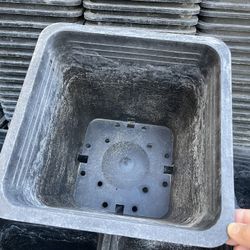 Square pot, 10" x 10", $1 each.