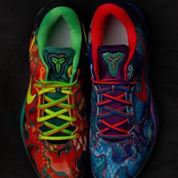Kobe Shoe 