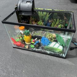 Fish Tank