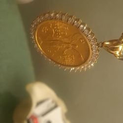 Sentenario Y Bezel, 14 Kilates