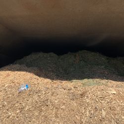 Free Mulch