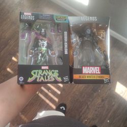 Brother Voodoo And Black Winter 