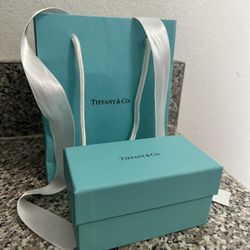 Tiffany & Co. Gift Bag & Box 