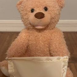 Gund Animated Peek-A-Boo Bear