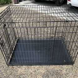 Large Kong Dog Crate