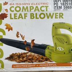 Small Leaf Blower 