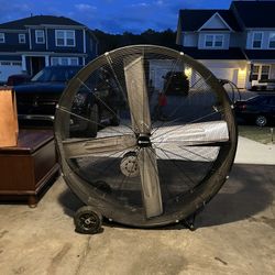Fan