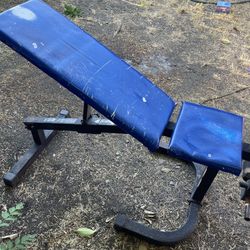 Workout Bench 