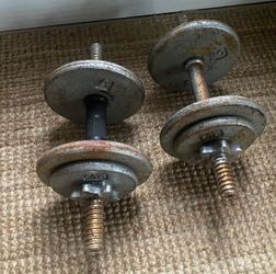 Adjustable Spin-Lock Dumbbells