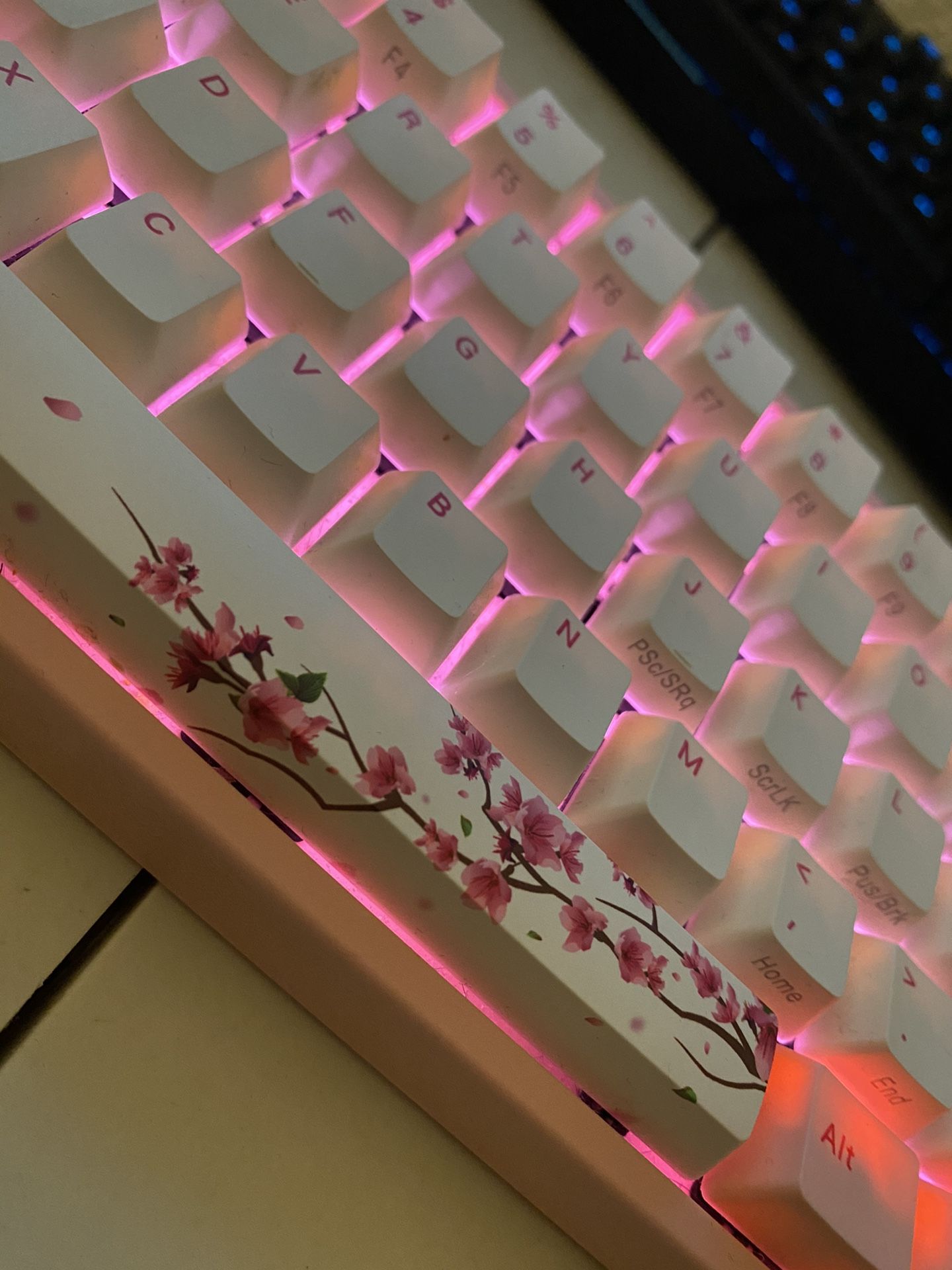 Ducky X Varmilo MIYA Pro Sakura Pink 65% PBT Mechanical Gaming Keyboard