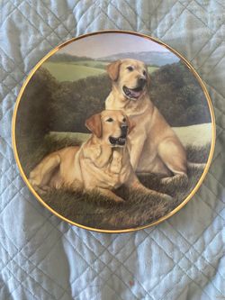 Golden Companion Collectors Plate
