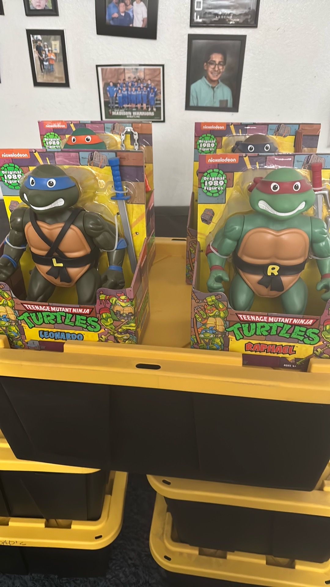 TMNT collection