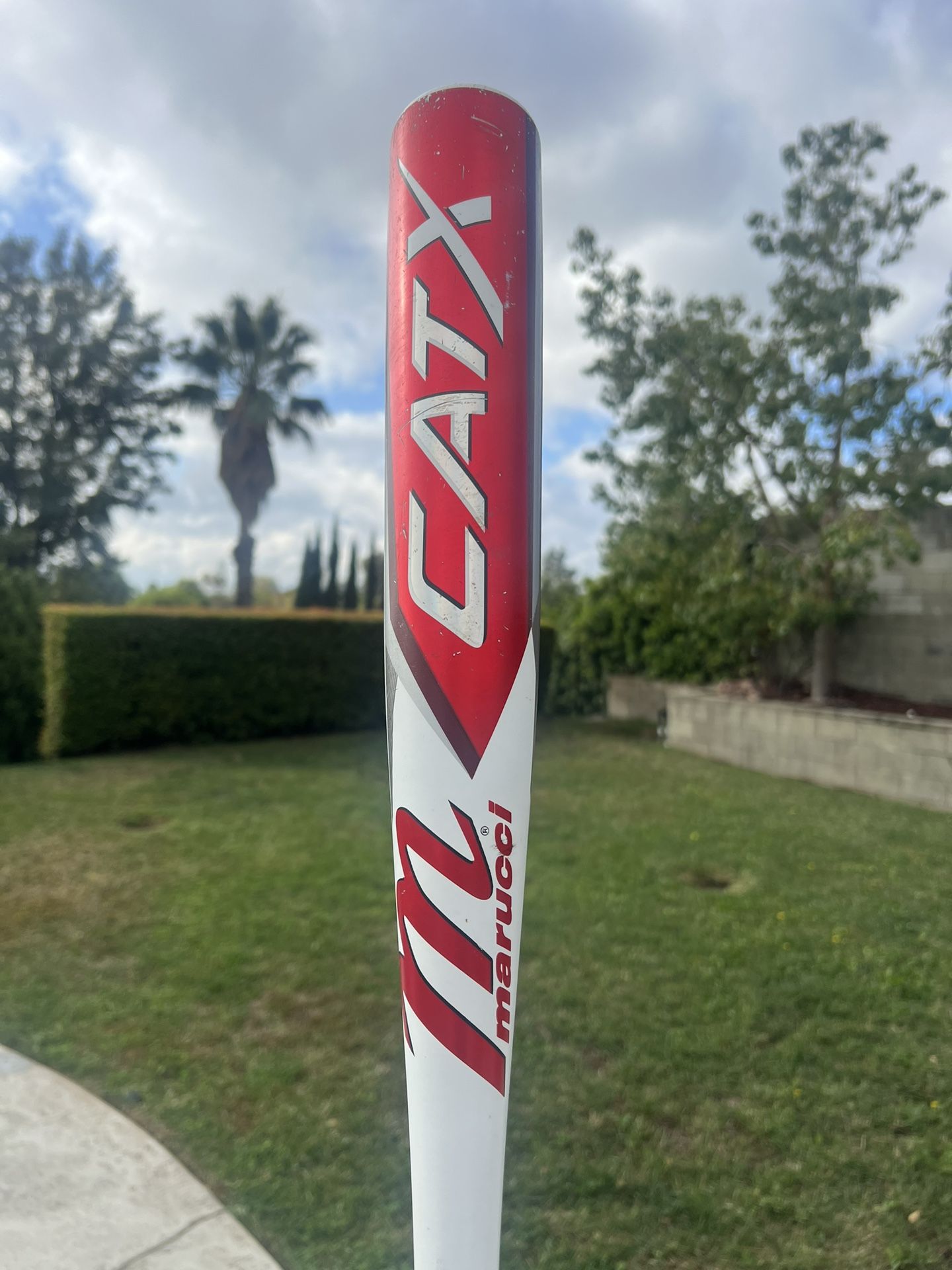 Marucci CatX BBCOR 31 Inch 28 Ounces