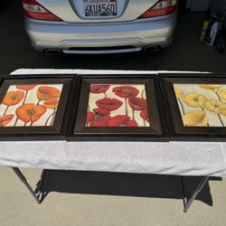 Set of 3 Bed Bath & Beyond Framed Poppy Floral Prints – 17 x 17 – Red Orange Yellow
