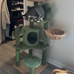Cute Cat Tree Tower 