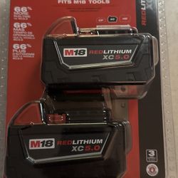 M18 18-Volt Lithium-Ion XC Extended Capacity 5.0 Ah Battery Pack (2-Pack)