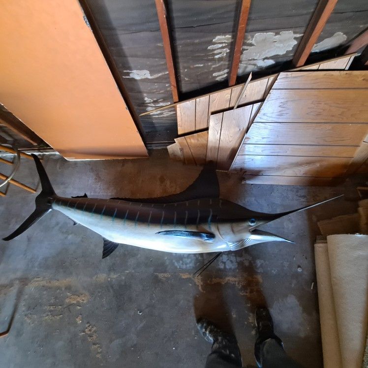 9ft Blue Marlin Half Mount Trophy