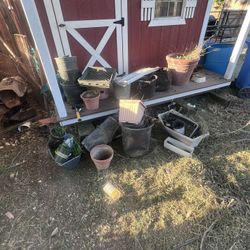Ton Of Flower Pots 