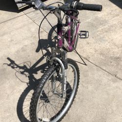 24 Inch Bike