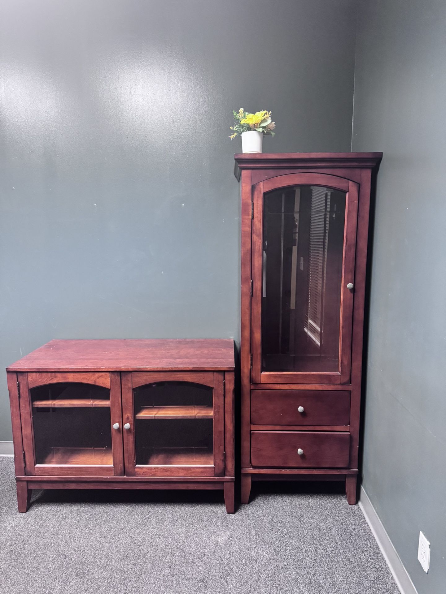 Matching Display Cabinet + TV Stand/Storage Unit – $500 OBO