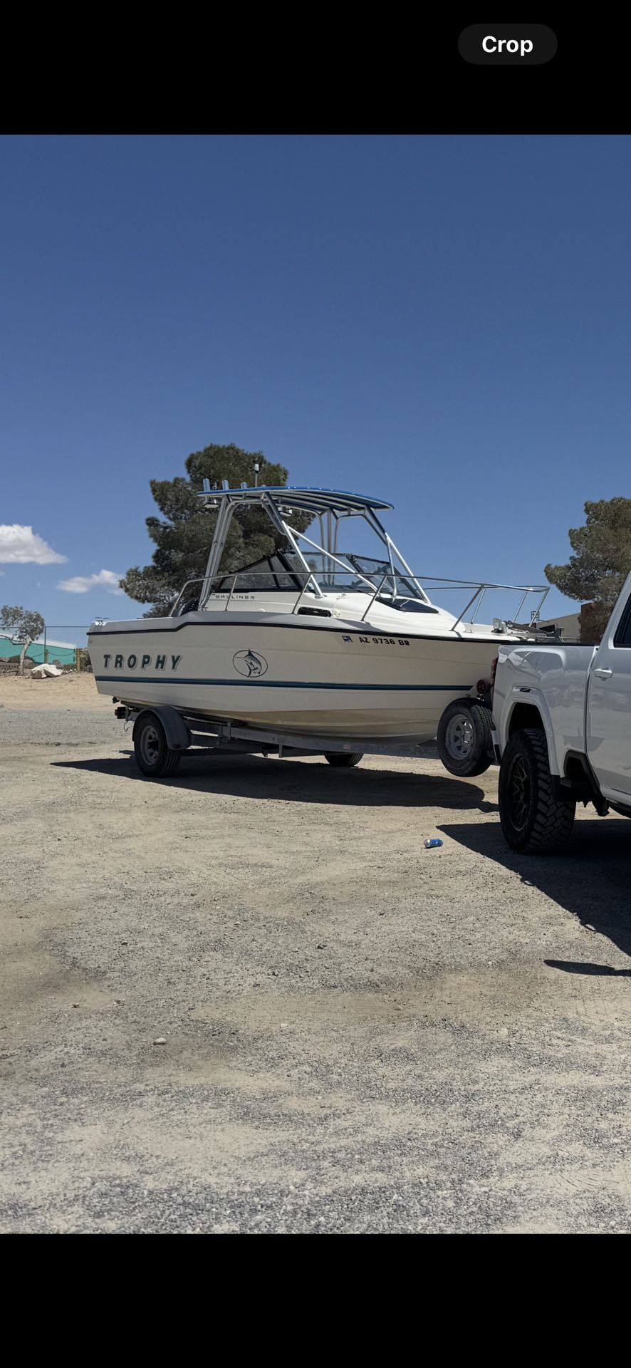 20 Ft Bayliner TROPHY Boat