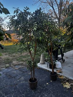 2 Artificial Tress