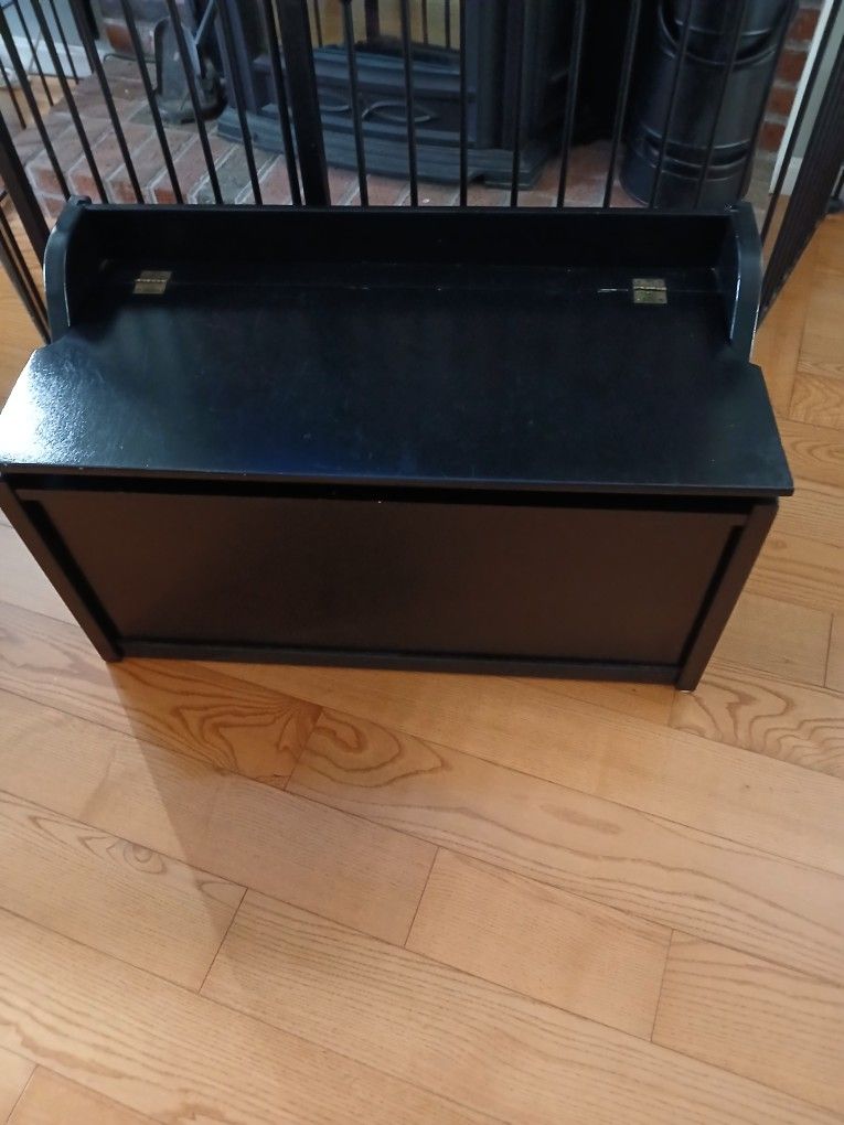 Toy Box Full Of TOYS