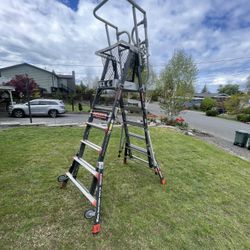 Little Giant Ladder 