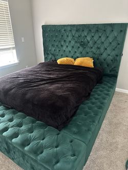 Whole Bed 