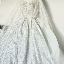 Wedding Dress And Veil 