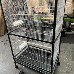 New Large Metal Bird Cage