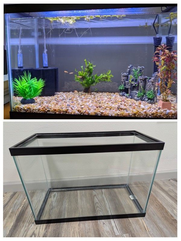 Full Aquarium Setup
